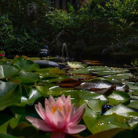 Rozsa Apartman Alsoors Bagian luar foto